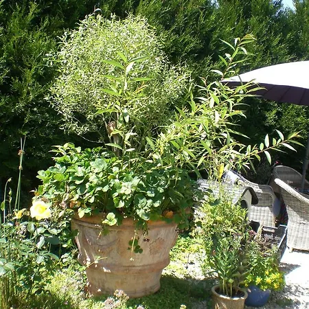 Ferienwohnung Hering In Dill Room photo