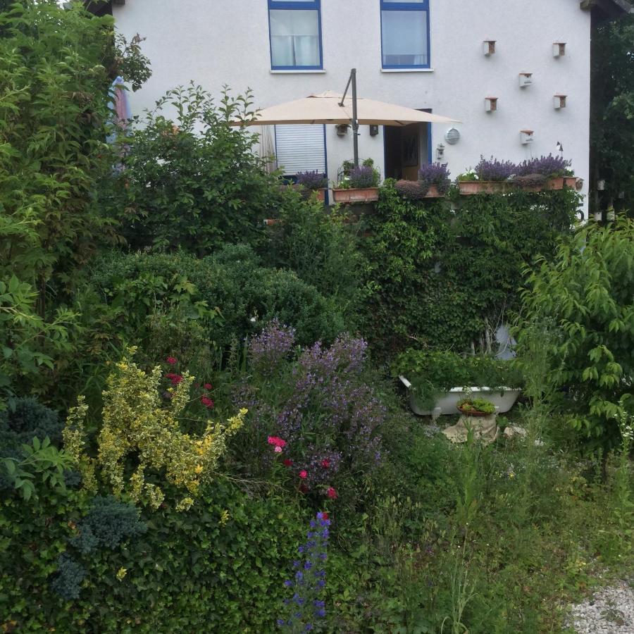 Apartment Hering In Dill