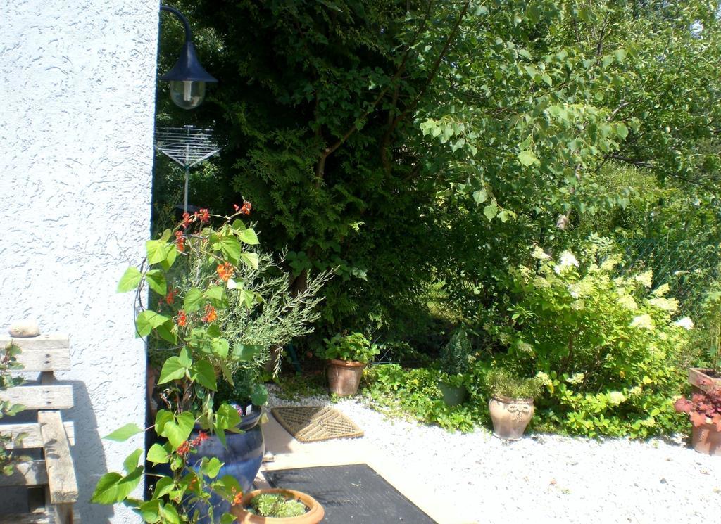 Apartment Hering In